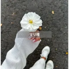 Item thumbnail for item 6170cb21-c3b1-45ef-bab2-4d297ce83038