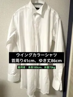 ウェディングメンズセット ウイングカラーシャツ＋小物5点セット