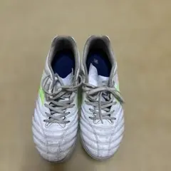 Mizuno モナルシーダネオ