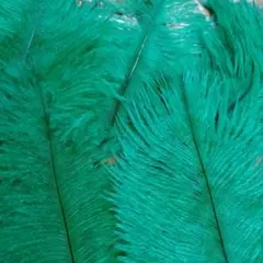 Item thumbnail for item e1a6a548-4923-46f5-8df3-5cae0279ea12