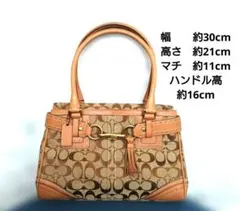 完売品！COACH ハンドバッグ シグネチャー レザー 10785 - メルカリ