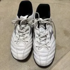 ミズノ モナルシーダ 23