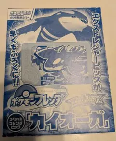 ポケモンカード カイオーガ イベルタル アメイジングレア 2枚セット