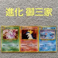 ポケモンカード 旧裏面 メガニウム オーダイル わるいバクフーン 進化