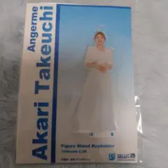 竹内朱莉(アンジュルム) POTATO 直筆サイン入りチェキ 竹内朱莉(アンジュルム) POTATO 直筆サイン入りチェキ