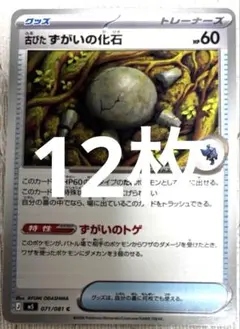 すがいの化石 ポケモンカード - メルカリ