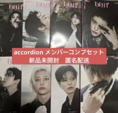 スキズ DOIT accordion 新品 未開封 8枚 セット