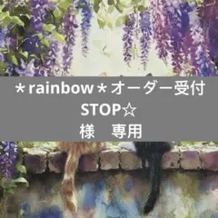 ＊rainbow＊オーダー受付STOP☆様　専用
