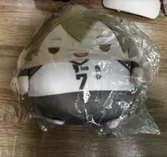 ハイキュー　くじメイト　ぬいくじ　C賞 木場　秋紀