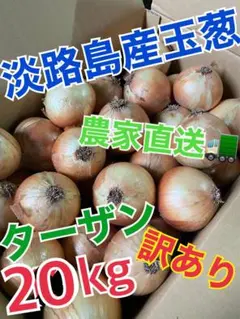 訳あり 淡路島産 玉ねぎ 20kg 農家直送のサムネイル