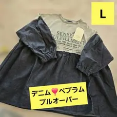 Item thumbnail for item 4d399554-e90f-43db-8291-21a978f065e6