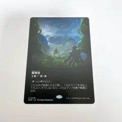 MTG 繁殖池/Breeding Pool EOE ボーダーレス 日本語版