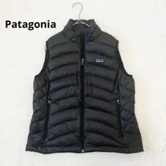 2025年最新】patagonia カラー：ブラック系 ダウンベスト