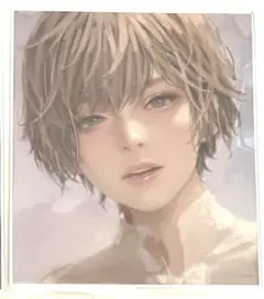 ニーア　ニーアオートマタ　エミール　NieR 消セナイ記録　色紙コレクション