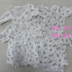 Item thumbnail for item fd8bd0ff-c5cc-4811-9006-5e23006b40d0