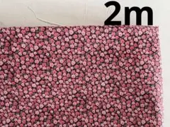 Item thumbnail for item 9eb0693e-c232-4dff-b043-bd97269c34d0