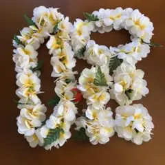 Item thumbnail for item 01633142-c2ea-4d3d-b603-88df3b49284b