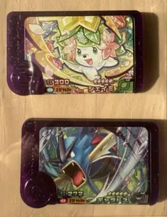 ポケモンフレンダ　各弾　スーパートレジャー　レア枠　ギャラドス　シェイミ
