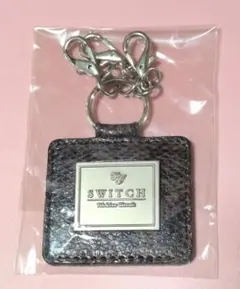ポルノグラフィティ PURPLE'S ピック キーホルダー 9個セット グッズ