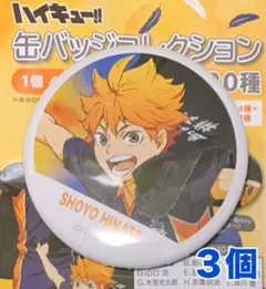 【本日限定】ハイキュー横断幕缶バッジ　日向翔陽 2025年最新】日向翔陽 缶バッジ 横断幕の人気アイテム - メルカリ