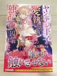 TL小説　ノーチェブックス　1月新刊