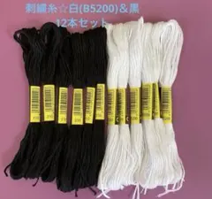 刺繍糸☆白＆黒　12本セット
