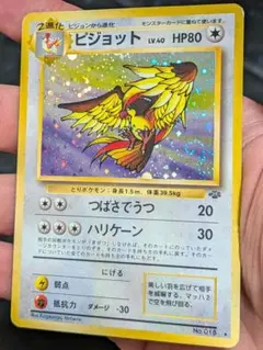 強 全面ホロ うずまき ピジョット 旧裏