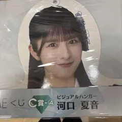 2025年最新】ビジュアルハンガー賞の人気アイテム - メルカリ