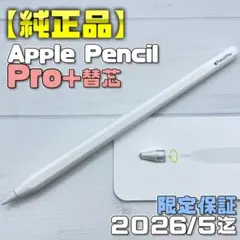 動作確認済み【美品】Apple Pencil Pro＋替え芯