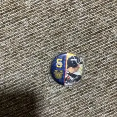 2025年最新】ヤクルト 優勝 ピンバッジの人気アイテム - メルカリ