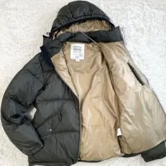 Eddie Bauer Premium goose down jacket