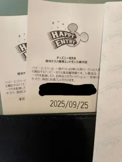 2月26日(火)ハッピー15エントリー☆ディズニー♪アーリー 東京ディズニーランド、東京ディズニーシーに15分早く入園！ディズニー