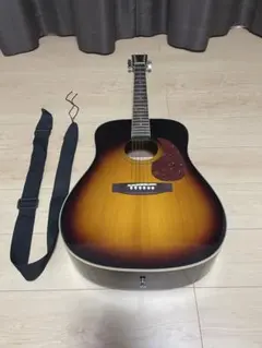 Vintage VJ-250 アコースティックギター カバーセット - メルカリ