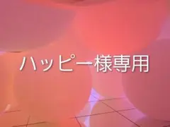 ハッピー様専用