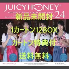 AVCジューシーハニーコレクションカード PLUS #24 未開封 1カートン AVC ジューシーハニーコレクションカード PLUS #1 BOX