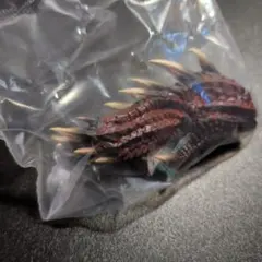 モンスターハンター 1番くじ アルバトリオン 未開封