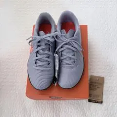 Item thumbnail for item beaf7141-fc7e-4e73-873c-b0af3b5db87d