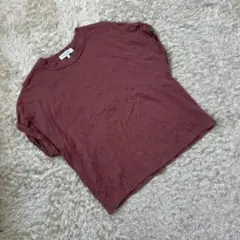 【A DAY IN THE LIFE】Tシャツ 無地 半袖 シェリンダスト S