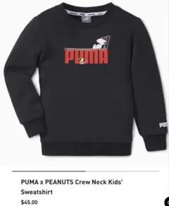 Item thumbnail for item 687202b8-46ad-4197-b68d-066429570d7d