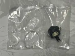 Item thumbnail for item fa561854-caf7-429d-84b1-a164471d97a5