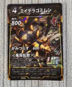 2026年最新】ミイデラゴミムシの人気アイテム - メルカリ