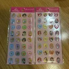 Disney プリンセス ストーンシー2枚セット