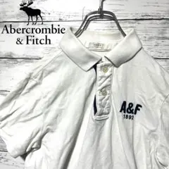 【人気商品】アバクロ　ポロシャツ　M D13