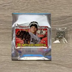 オリックスバファローズ コロコロチャレンジ 宮城大弥選手 - メルカリ