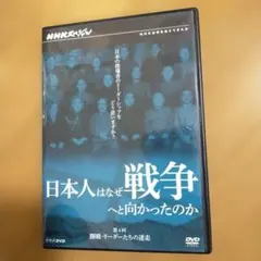 レア【嘉手苅林昌 追善公演 白雲ぬ如に…】 DVD2枚組 沖縄民謡 極美品