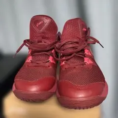 asics バスケットボールシューズ ボルドー 28.0cm