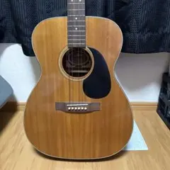 2025年最新】ARIA アコースティックギターの人気アイテム - メルカリ