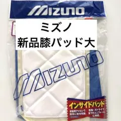 MIZUNO　ミズノ　野球用パッド　膝用(大)