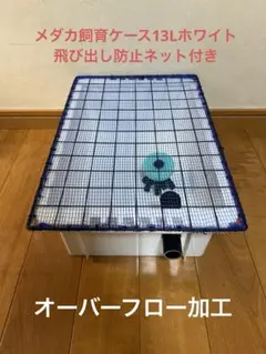 2026年最新】NVボックス メダカの人気アイテム - メルカリ