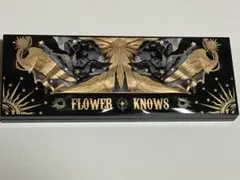 フラワーノーズ　リトルエンジェル　12色アイシャドウパレット　ダークエンジェル